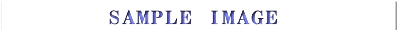 サンプル画像
