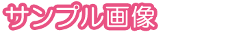 サンプル画面