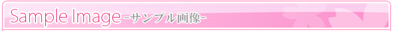 サンプル画像