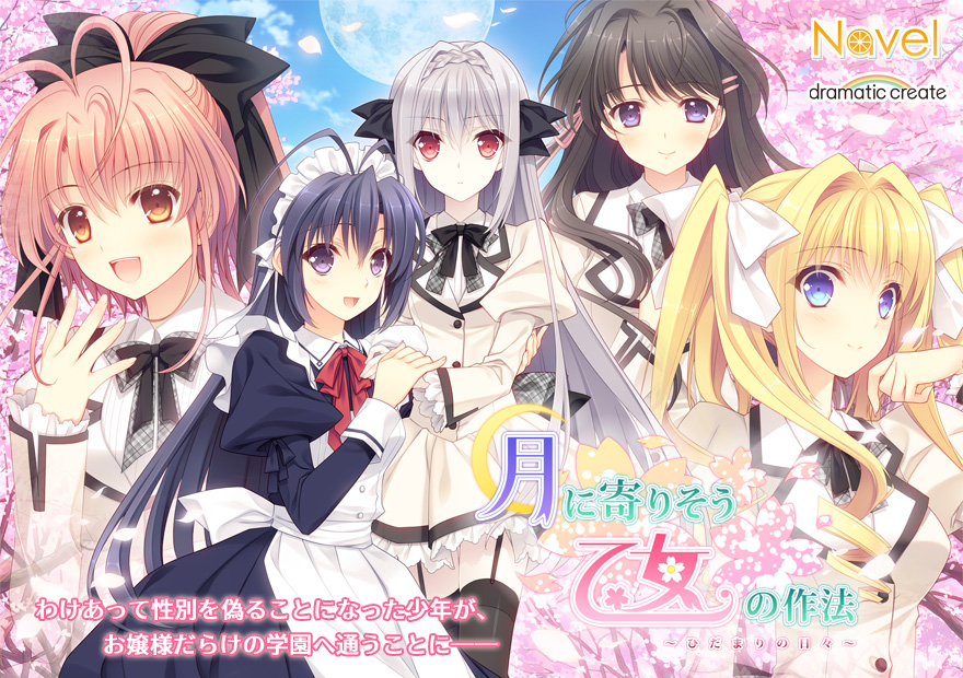 『月に寄りそう乙女の作法 ~ひだまりの日々~』特設ページ - 萌えAPP